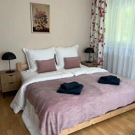 Kasztanowy Zakątek Apartament *